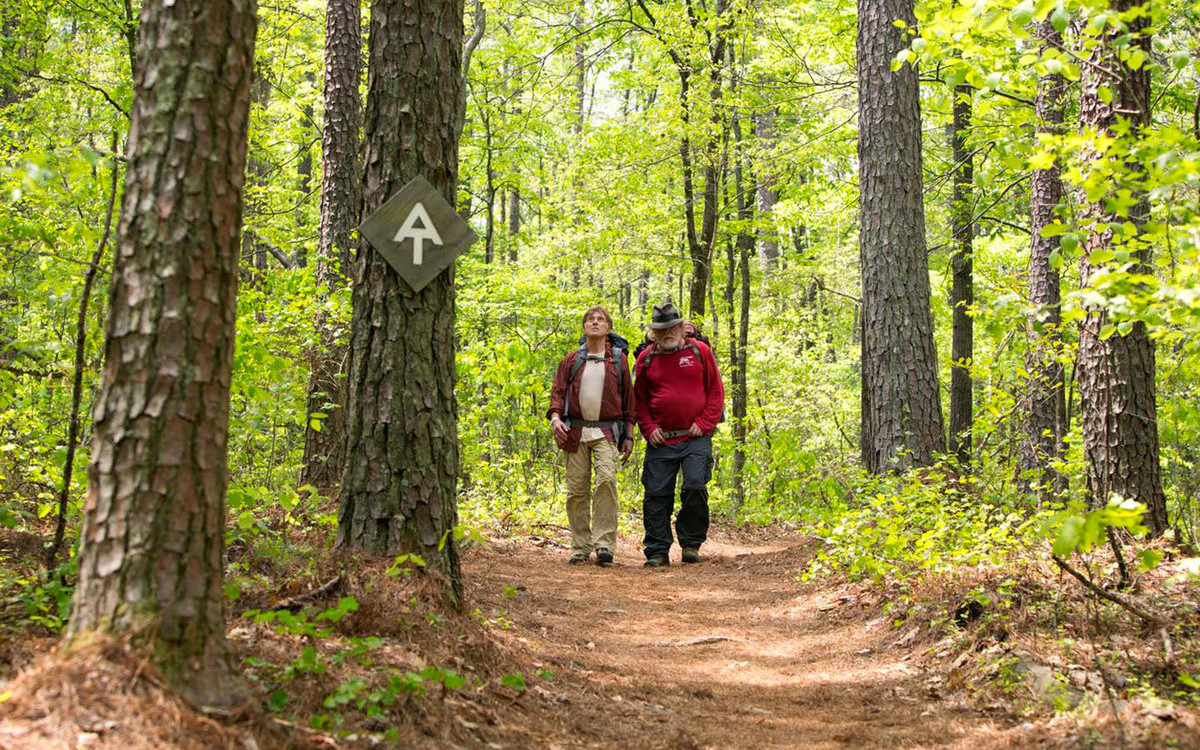 a walk in the woods author